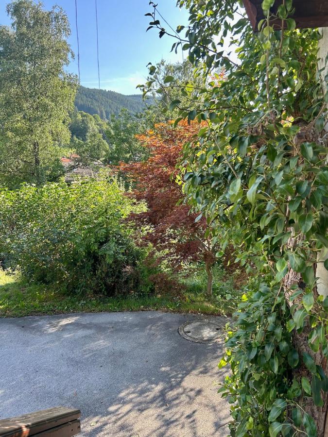 Apartment Huberspitz - Ruhe, Berge & Natur Hausham Bagian luar foto